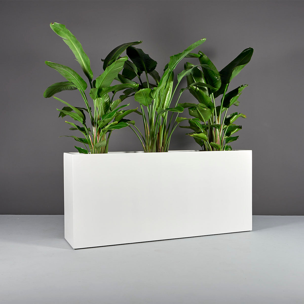 Large Fiberglass Planters